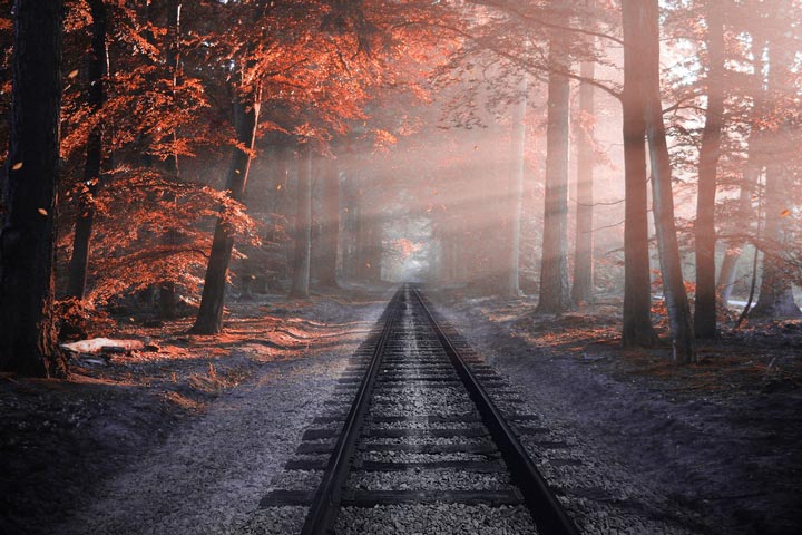 Vías de tren